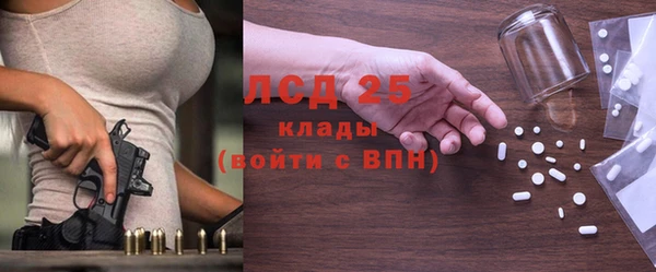 шишки Богородицк