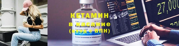 шишки Богородицк