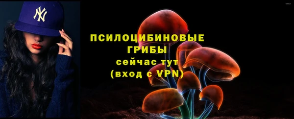 соль курить ск Богданович