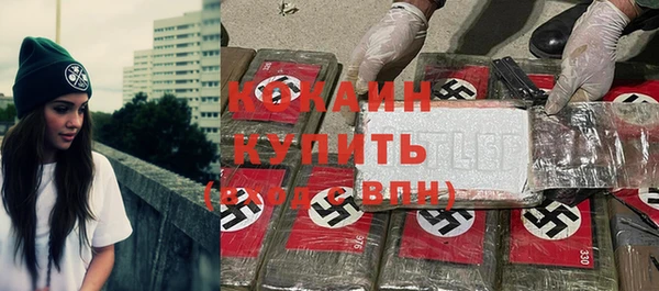 шишки Богородицк