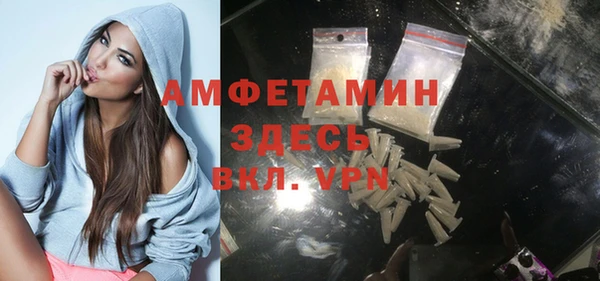 шишки Богородицк