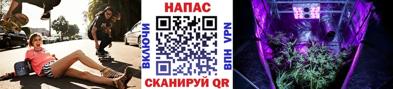 blacksprut Янаул Конопля AK-47